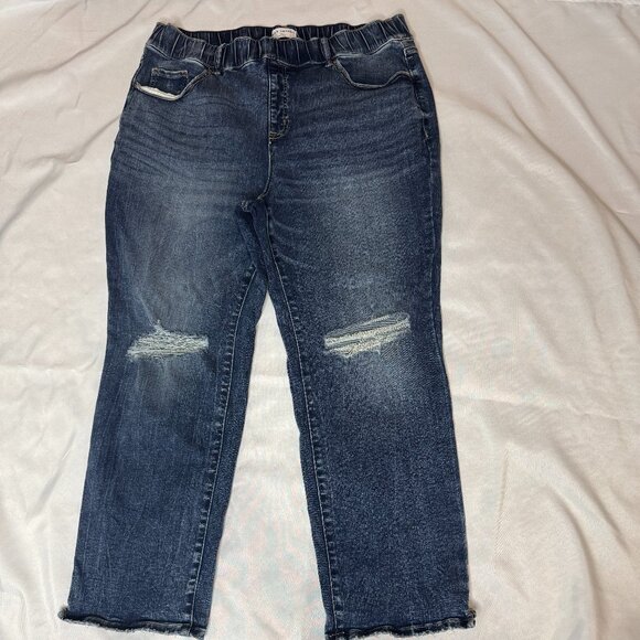 Lane Bryant High rise Pull on Straight fit Jean Size 20S Medium wash distressed - Picture 1 of 9